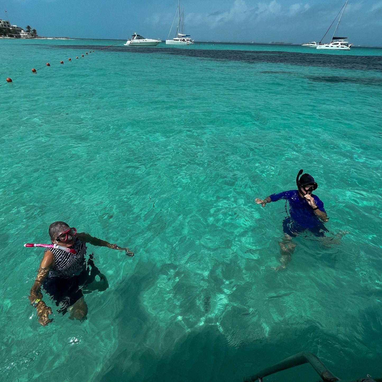 Beneath the Blue: Private Whale Shark Experience