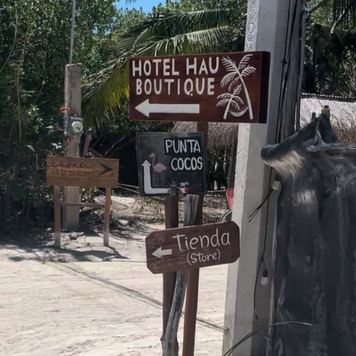 Holbox: At the Rhythm of the Sun