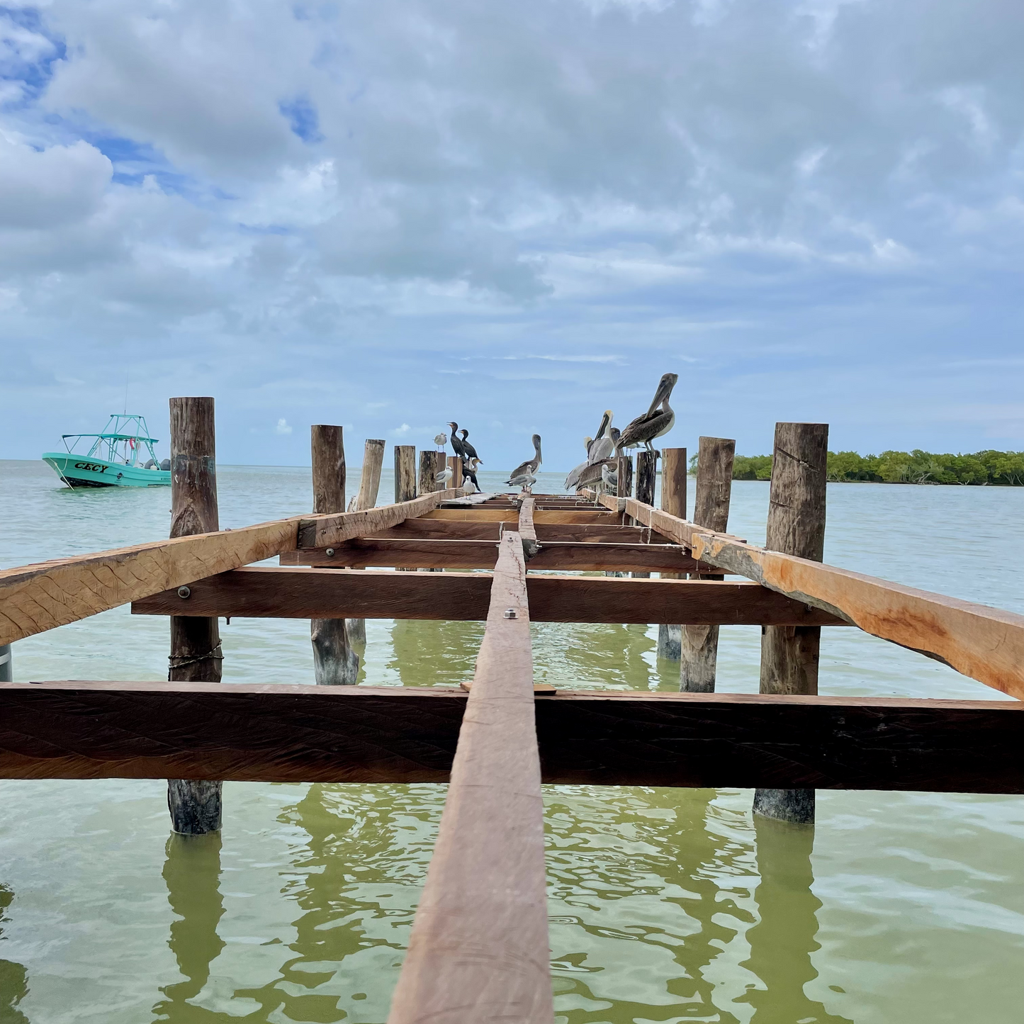 Holbox: At the Rhythm of the Sun