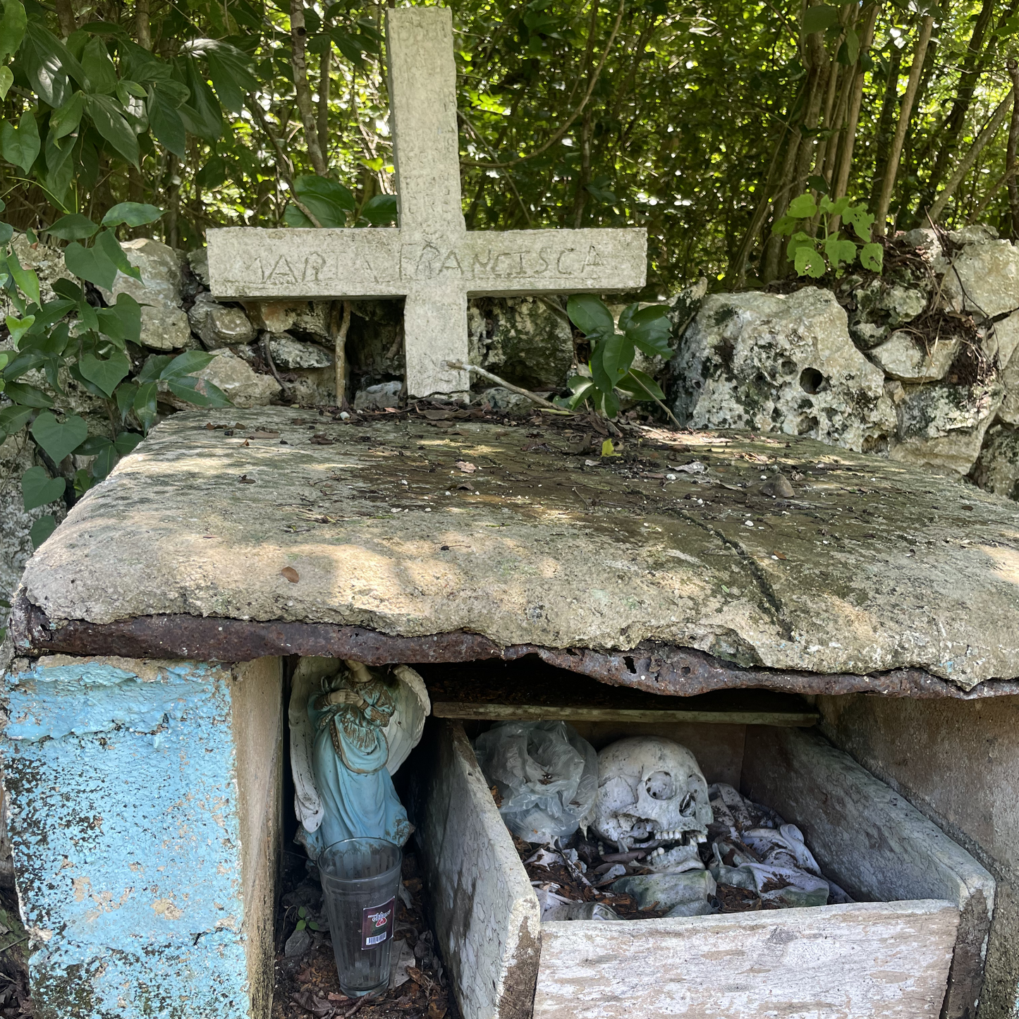 Grave with a cross and stone sarcophagus containing bones, surrounded by greenery.